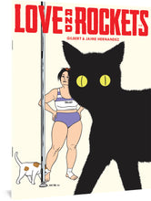 Load image into Gallery viewer, Love and Rockets Vol. IV #13 regular variant cover image